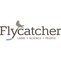 Flycatcher LLC