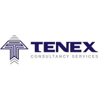 Tenex Consultancy Services