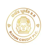 Bayon Credit PLC.