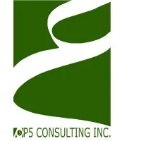 P5 Consulting Inc. P5 Consulting Inc.