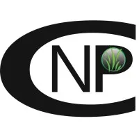 New Prospect Consulting Services