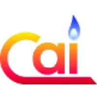 Combustion Associates, Inc.