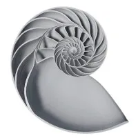 Spanda 3d