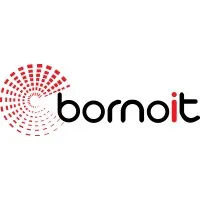 BornoIT