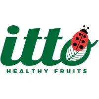 Itto Group