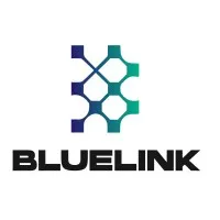 Bluelink solutions Bluelink solutions