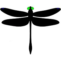 Odonata Research LLC