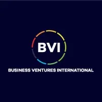 BVI Corp