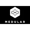 Medular Diseño Medular Diseño