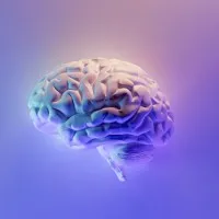 Interactive Intelligence Interactive Intelligence