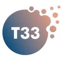 T33