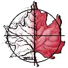 The Site Group, Inc. The Site Group, Inc.