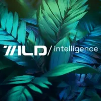 Wild Intelligence Wild Intelligence