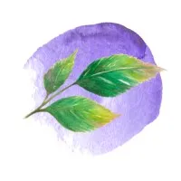 Coaching Salud Holistica Coaching Salud Holistica