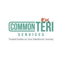 CommonTeri Services, Inc.