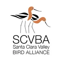 SANTA CLARA VALLEY BIRD ALLIANCE SANTA CLARA VALLEY BIRD ALLIANCE