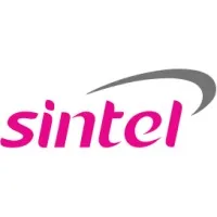 Sintel Inc Sintel Inc