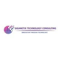Giganetix Technology Consulting