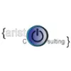 ariston consulting