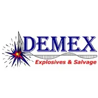 DEMEX International Inc