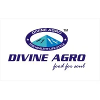 Divine Agro Industries Limited