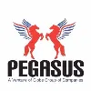 Pegasus Automobiles Pegasus Automobiles