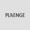 Grupo Plaenge