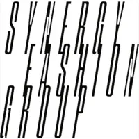 Synergy Fashion Group