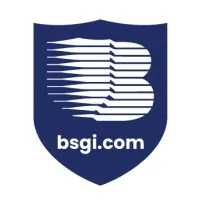 Berkshire Systems Group Inc (BSGI) Berkshire Systems Group Inc (BSGI)