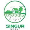 Singur Group