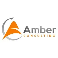Amber Consulting LLP