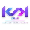 Kush Fintech Consultants Kush Fintech Consultants