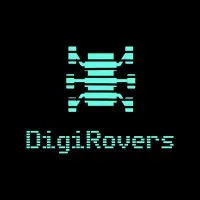 DigiRovers Solutions