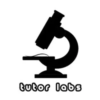 Tutor Labs Tutor Labs