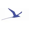 Longtail Re Longtail Re