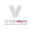 Virtual Mojoe