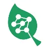 Ecorithms Ecorithms