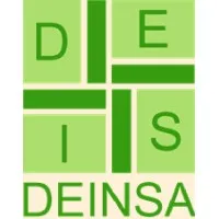 DEINSA SRL