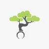 Bonsai Bonsai