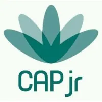 CAP jr Consultoria