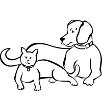 Cicero Animal Clinic, P.C.