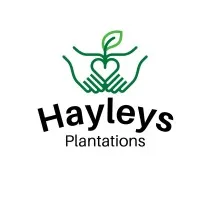 Hayleys Plantations