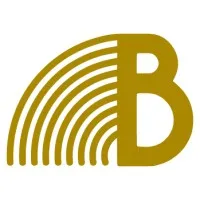 Bellwether Consulting Minneapolis, United States Bellwether Consulting Minneapolis, United States