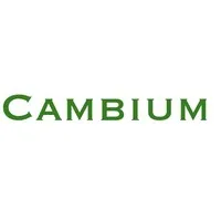 Cambium