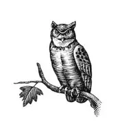 Long Lake Capital Management, LLC