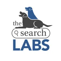 The Search Labs The Search Labs