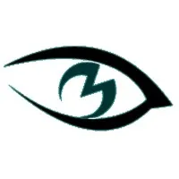 M-Vision, Inc