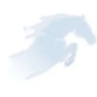 Benchmark Payment Networks Benchmark Payment Networks