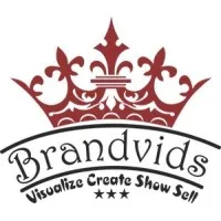 Brandvids Infotech Pvt Ltd