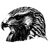 HAWK Enterprises Elkhart Indiana USA HAWK Enterprises Elkhart Indiana USA